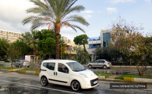 photo 1721739