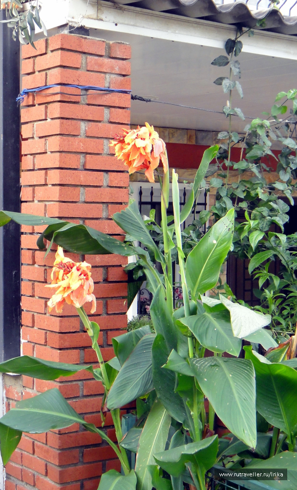 photo 1723797