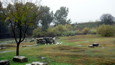 photo 1779402