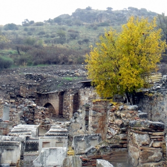 Турция, Эфес