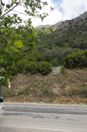 photo 1445473