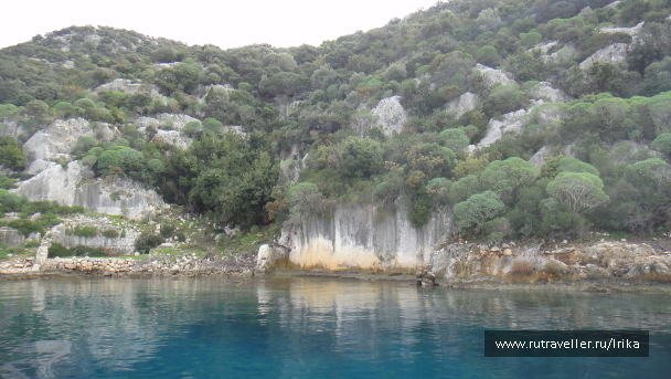 photo 1781961