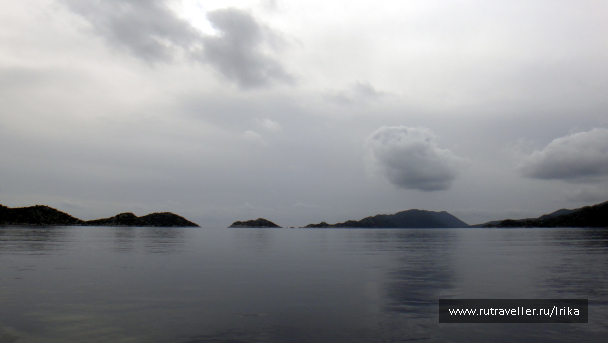 photo 1782477