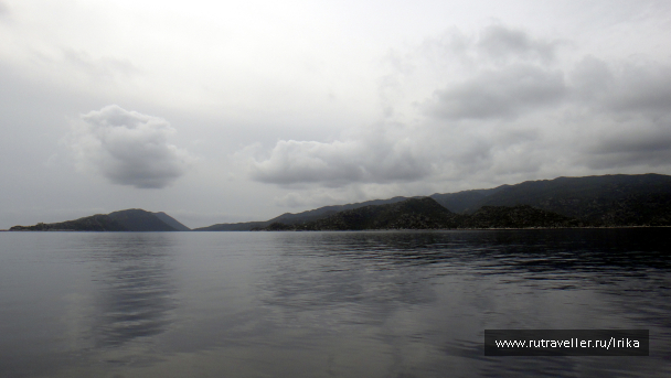 photo 1782478