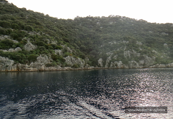 photo 1784736