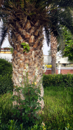 photo 1463729