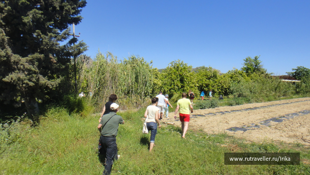 photo 1444527