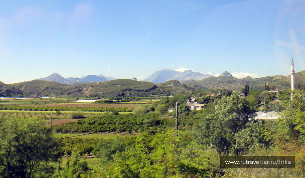 photo 1444593