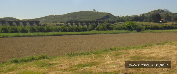 photo 1445097