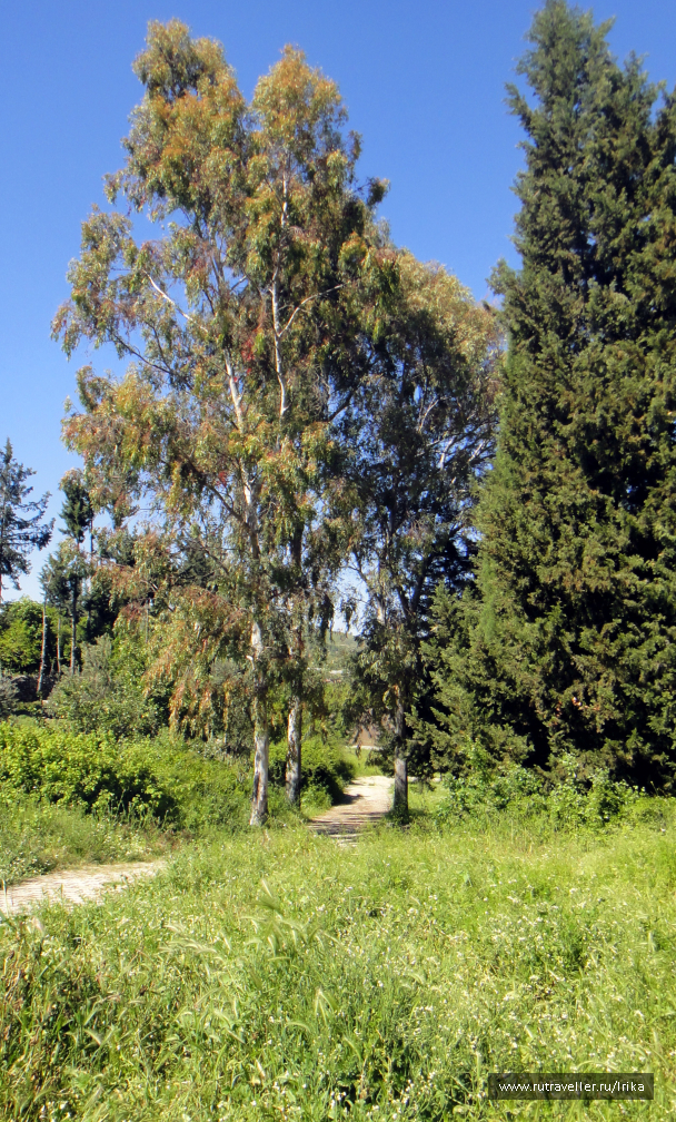 photo 1445110