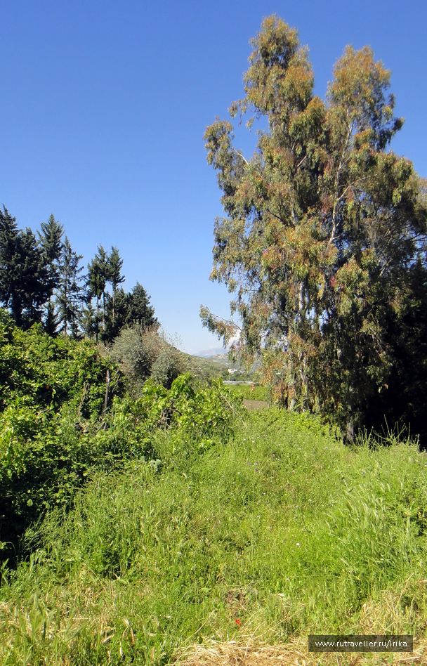 photo 1445111
