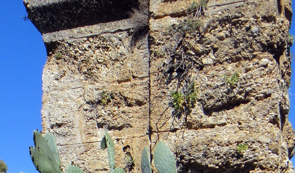 DSC01419.