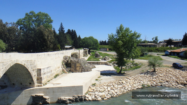 photo 1445654