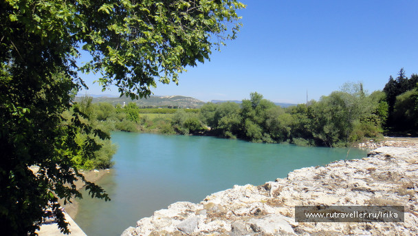 photo 1445681