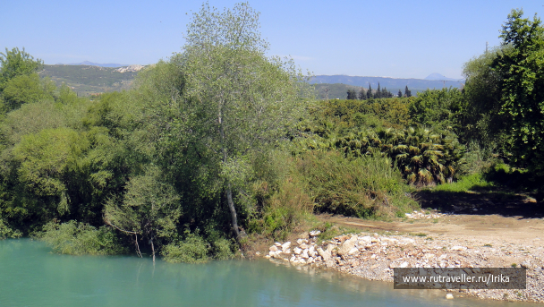 photo 1445683