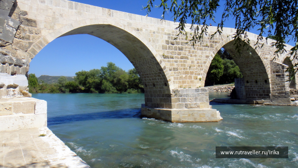 photo 1445715