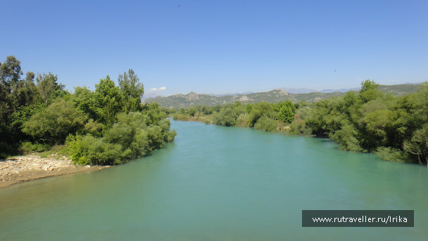 photo 1445716