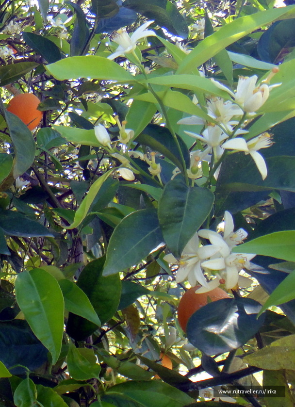 photo 1746502