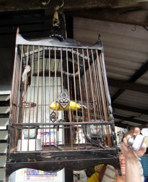 photo 1472124