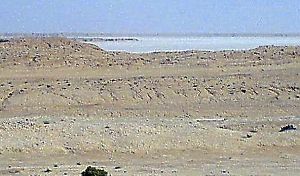 DSC02147