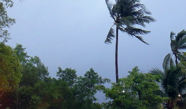 DSC00797.2