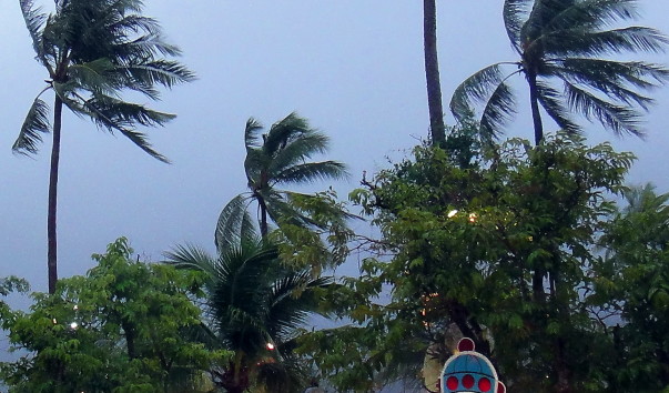 DSC00797.1