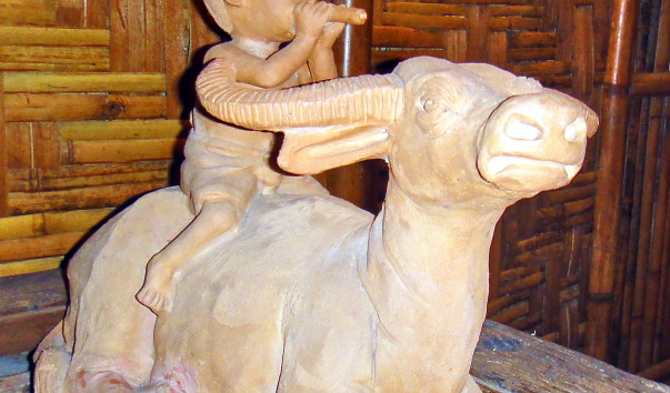 DSC00780