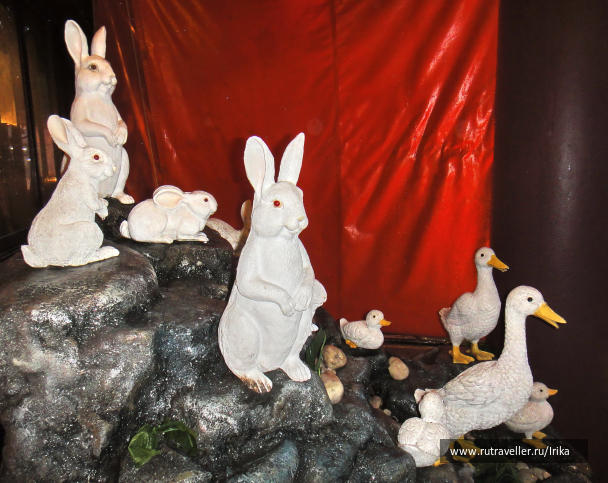 photo 1469522