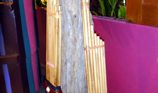 DSC00790