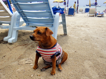 photo 1417570