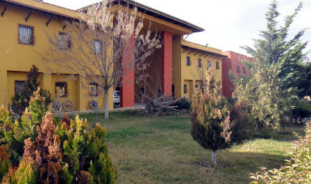 photo 1441549
