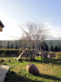 photo 1464891