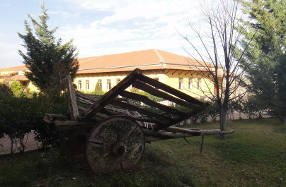 photo 1465386