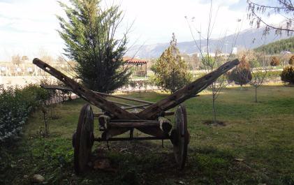 photo 1465387