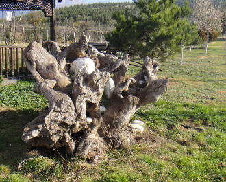 photo 1465393