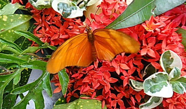 DSC01229