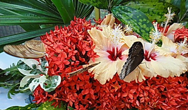 DSC01218
