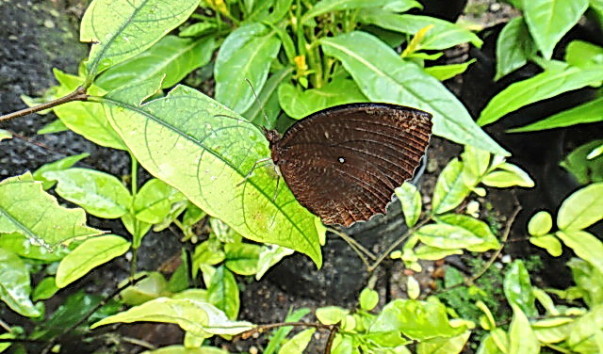 DSC01103