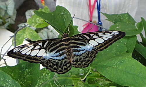 DSC01215