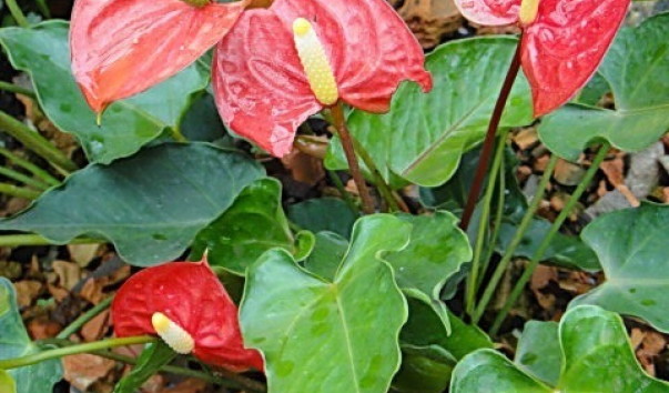 DSC01128