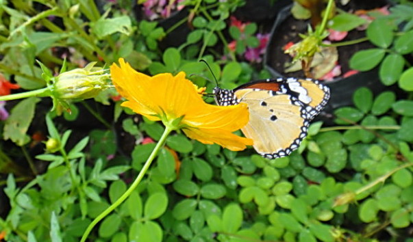 DSC01160