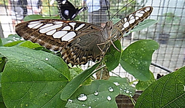 DSC01214