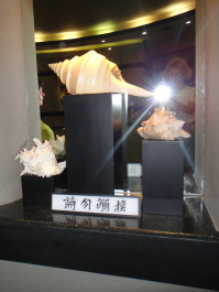 photo 1476521