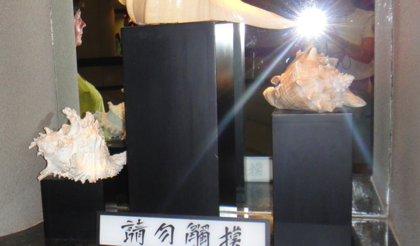DSC00533.jpg1