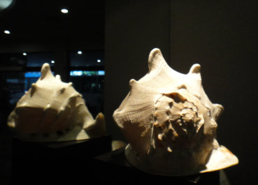 photo 1476522