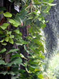 photo 1476835
