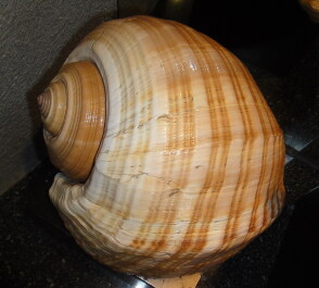 photo 1476839