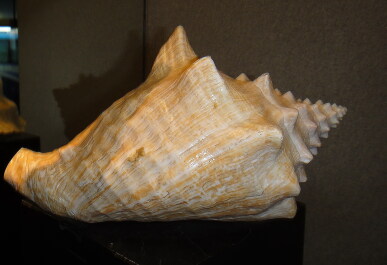 photo 1476992