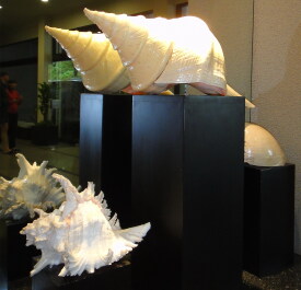 photo 1477429