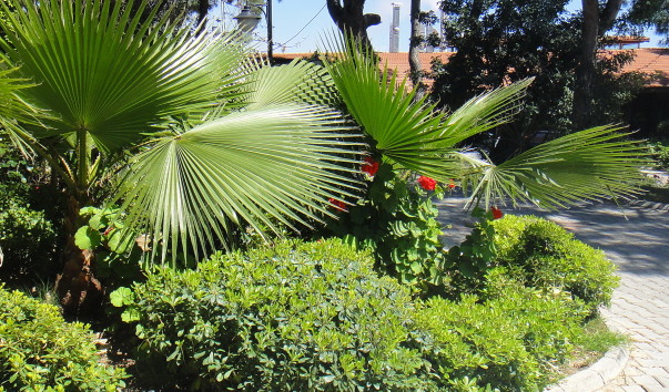 DSC01709